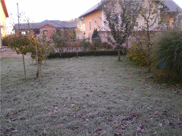 jutarnji mraz